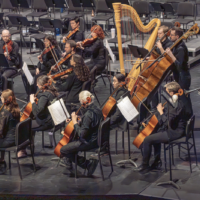 WMS Around the World | Apr 19